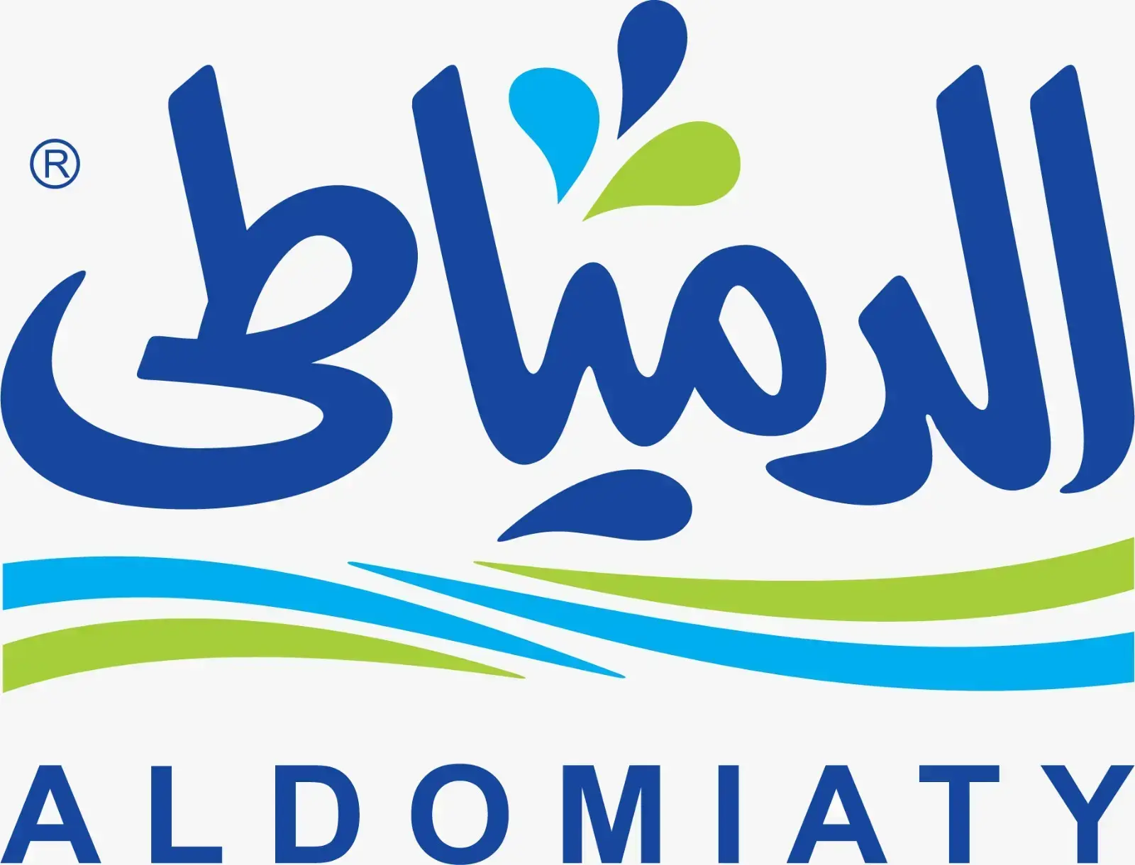 Mohamed Mohamed Abdel Halim Asal    |    محمد محمد عبد الحليم عسل